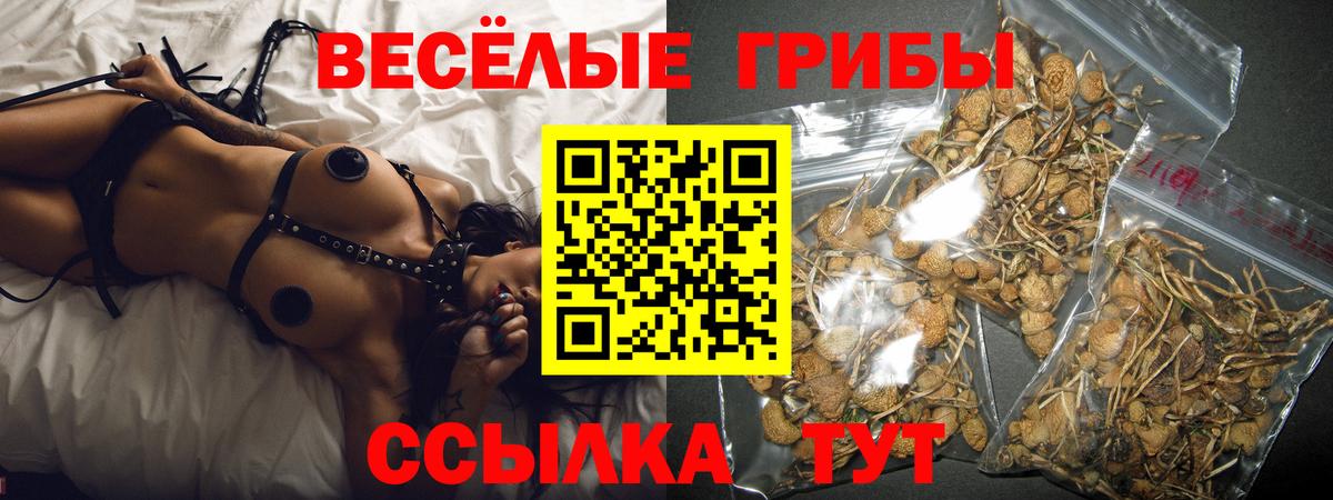 Псилоцибиновые грибы мухоморы Шали